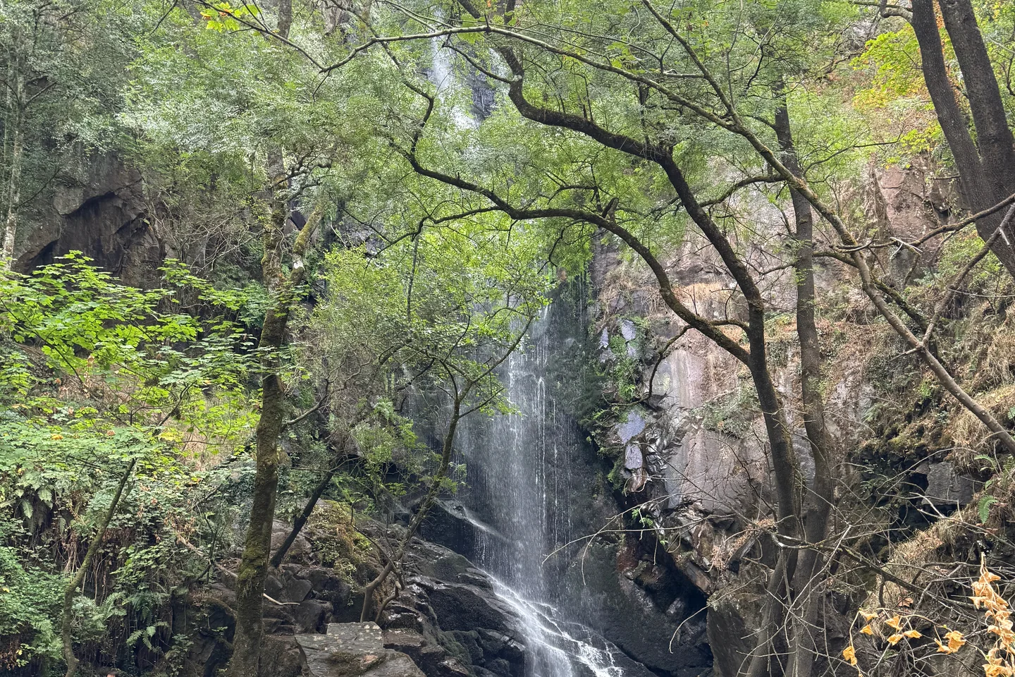 Wasserfall in einer bewaldeten Landschaft im Nordwesten Spaniens