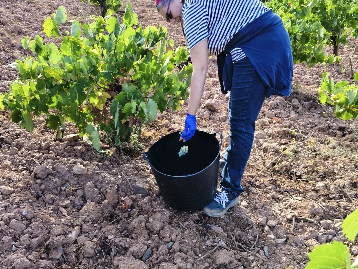Traditionelle Bodega der Region